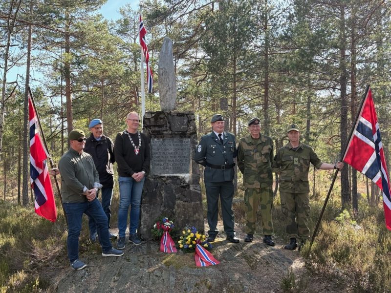 Ordfører i Vegårshei og HV